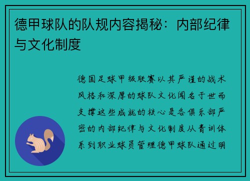德甲球队的队规内容揭秘：内部纪律与文化制度